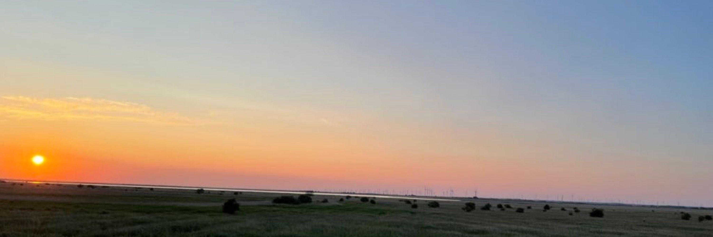 German Outcry: Mass Protests Against AfD Amid Political Normalization Fears